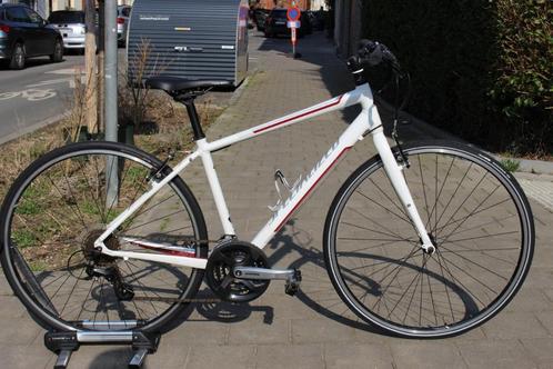 VTC Specialized femme Taille M, Fietsen en Brommers, Fietsen | Dames | Damesfietsen, Gebruikt, Overige merken, 50 tot 53 cm, Ophalen of Verzenden