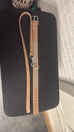 Collier et laise en cuir, Animaux & Accessoires, Accessoires pour chats, Enlèvement, Neuf