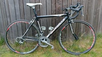 Racefiets maat 54 beschikbaar voor biedingen
