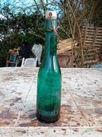 Oude vintage bierfles brouwerij Dumont Comines, Verzamelen, Biermerken, Ophalen of Verzenden