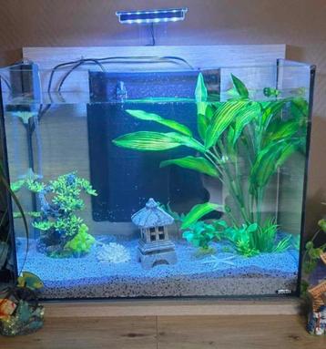 Aquarium cube 50L avec joli support couleur chêne clair, Enlèvement, Comme neuf, Aquarium vide