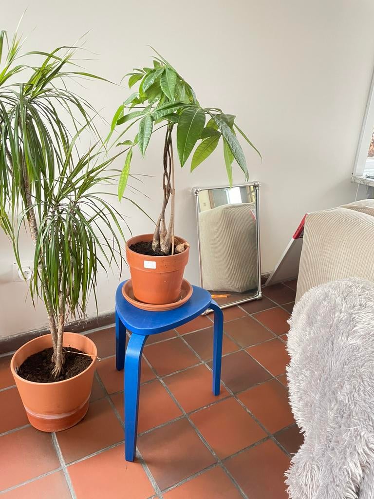 Vintage terracotta tegels, Ophalen