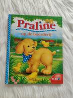 Boek praline, Ophalen of Verzenden, Zo goed als nieuw