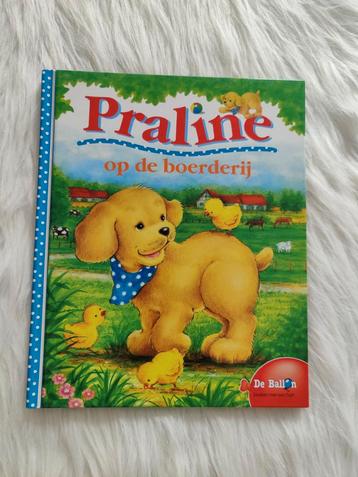 Boek praline  beschikbaar voor biedingen