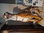 Luipaard  italiaans  83 cm, Antiek en Kunst, Ophalen