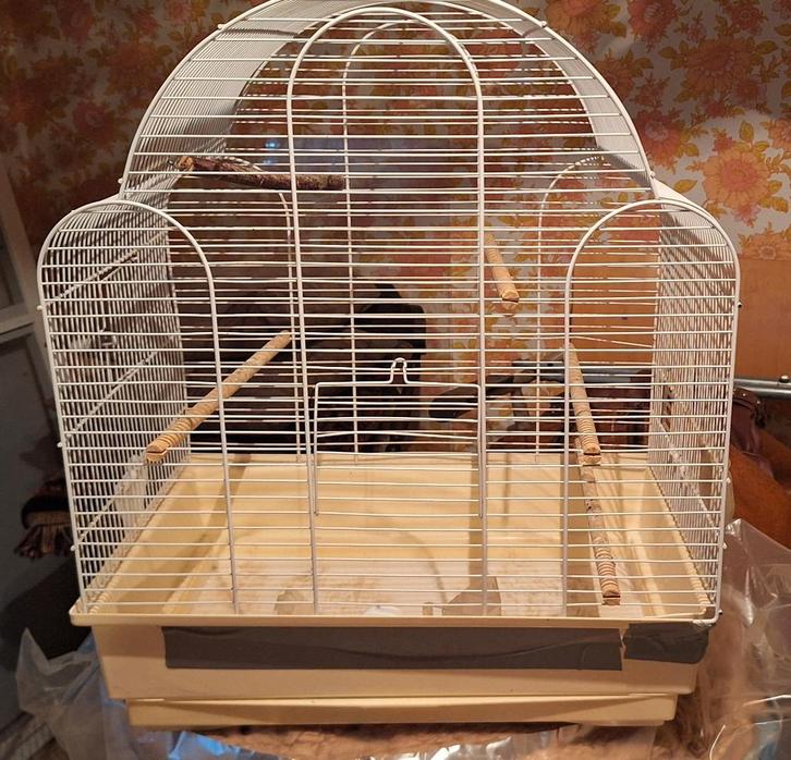 Zeer nette vogelkooien, Dieren en Toebehoren, Vogels | Hokken en Kooien, Vogelkooi, Ophalen