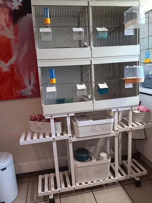 2  KWEEKKOOIEN, Dieren en Toebehoren, Vogels | Hokken en Kooien, Zo goed als nieuw, Broedkooi of Kweekkooi, Kunststof, Ophalen