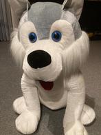 knuffel, Ophalen, Nieuw, Hond