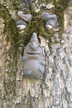 boomgezicht "Felix", 3 delen in beton, Enlèvement ou Envoi, Béton