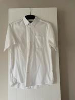 Mooie hemden L, Kleding | Heren, Overhemden, Overige kleuren, Ophalen of Verzenden, Zo goed als nieuw, Halswijdte 41/42 (L)