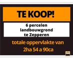 TE KOOP: Landbouwgrond te Sint-Truiden, Immo, Terrains & Terrains à bâtir, Sint-Truiden, 1500 m² ou plus