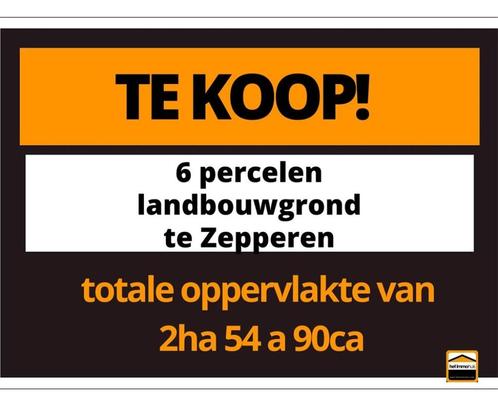 TE KOOP: Landbouwgrond te Sint-Truiden, Immo, Terrains & Terrains à bâtir, 1500 m² ou plus