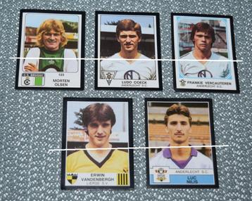 Panini / EX - RSC Anderlecht / Football 2008/ 5 stickers beschikbaar voor biedingen