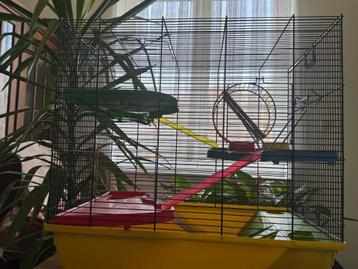 Cage hamster  beschikbaar voor biedingen