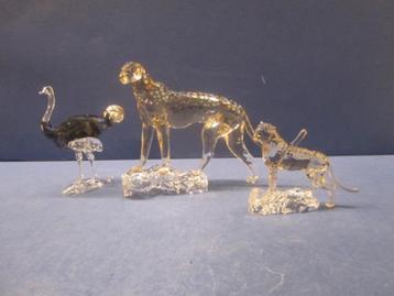 Swarovski SCS 2023 Jachtluipaard Mehira, Jabari & Makena beschikbaar voor biedingen