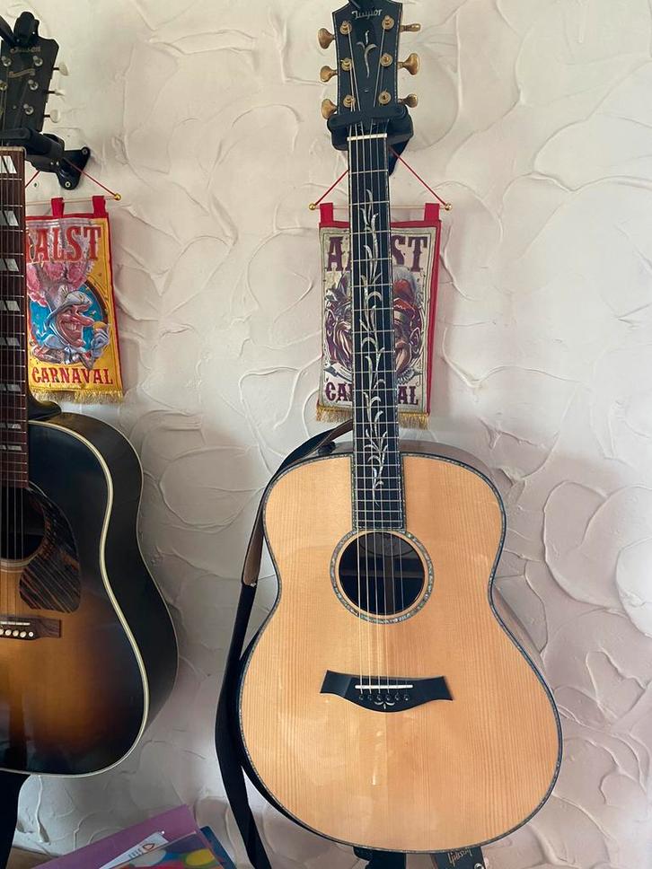 Taylor PS18e-LTD + speciale case LTD, Muziek en Instrumenten, Snaarinstrumenten | Gitaren | Akoestisch, Zo goed als nieuw, Ophalen