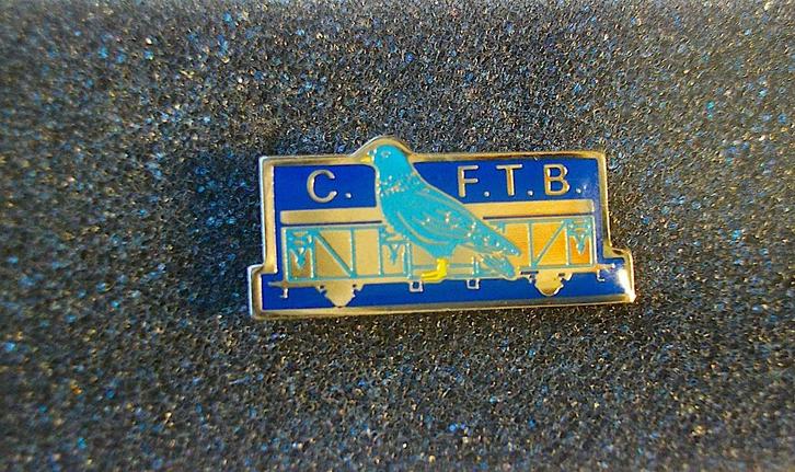 Pin's van de Toeristische Spoorweg van Borinage , Verzamelen, Spoorwegen en Tram, Gebruikt, Trein, Kaart of Prent, Ophalen of Verzenden