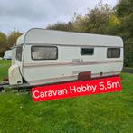 Caravan Hobby 6m voortent camping verbouwingen werfkeet bouw, Caravans en Kamperen, Ophalen
