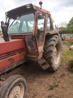 Fiat 880 5, Articles professionnels, Agriculture | Tracteurs, Enlèvement ou Envoi, Fiat