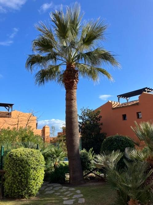 Vakantie verhuur Estepona Malaga, Vakantie, Vakantiehuizen | Spanje, Costa del Sol, Appartement, Overige, Aan zee, 2 slaapkamers