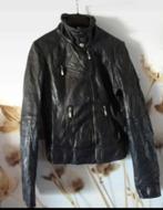 Perfecto femme, Vêtements | Femmes, Taille 36 (S), Enlèvement, Porté, Manteau