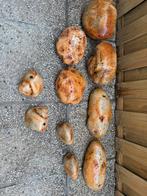 Rock zolid steen, Dieren en Toebehoren, Ophalen of Verzenden