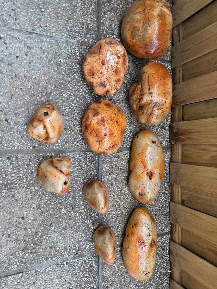 Rock zolid steen, Dieren en Toebehoren, Vissen | Aquaria en Toebehoren, Ophalen of Verzenden