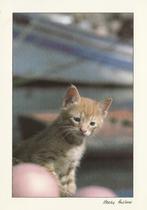 KAT    4, Collections, Cartes postales | Animaux, Envoi, Non affranchie, Chien ou Chat