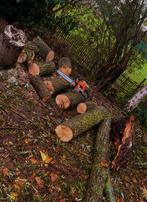 Hout knotwilg, Tuin en Terras, Ophalen, Blokken