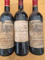 3 Oude Bordeaux wijnen – keldervondst, Verzamelen, Ophalen