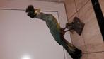 Opgezette tropische vogel taxidermie, Verzamelen, Ophalen, Vogel