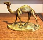 Messing kameel, dromedaris, Ophalen of Verzenden