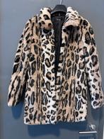 luipaardjas . Maat M. Stad Gent, Kleding | Dames, Jassen | Winter, Ophalen of Verzenden, Zo goed als nieuw, Maat 38/40 (M)