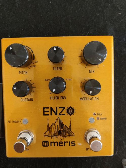 Meris Enzo + Preset Switch, Muziek en Instrumenten, Effecten, Gebruikt, Ophalen of Verzenden