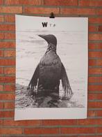 originele KADERVADER a2 poster, Ophalen of Verzenden