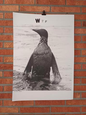 originele KADERVADER a2 poster beschikbaar voor biedingen