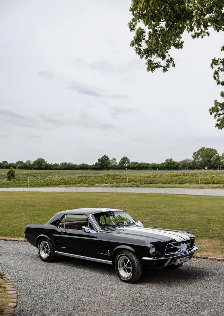 Ford Mustang1967  V8 4,7L à Vendre/louer, Auto's, Ford, Particulier, Mustang, Ophalen