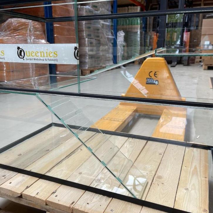 Glazen trap voor Gerbilkooi / Gerbilarium / Gerbil terrarium, Dieren en Toebehoren, Knaagdieren en Konijnen | Hokken en Kooien