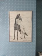 Tekening, Enlèvement