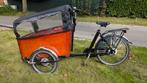 Bakfiets_nl Cargotrike breed nexus3 rollerbrakes, Enlèvement, Comme neuf, Électrique