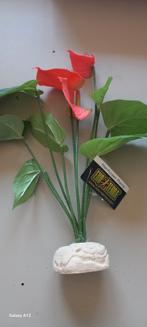 Exo terra anthurium bush, Ophalen of Verzenden, Nieuw, Tak, Plant, Rots of Steen