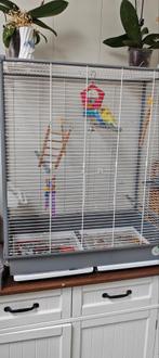 Parkietenpaar met kooi en accessoires, Dieren en Toebehoren, Ophalen