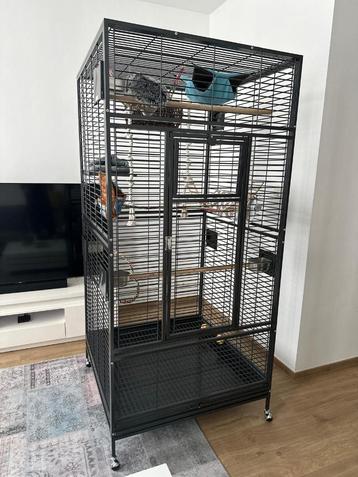 2 KOOI  beschikbaar voor biedingen