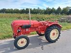 porsche standard T217, Zakelijke goederen, Landbouw | Tractoren, Ophalen of Verzenden, Oldtimer