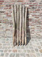 Kastanje palen, Tuin en Terras, Palen, Balken en Planken, Ophalen, Palen