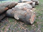 Grillige eiken stam, halfdroog, 70cm dik, 2,18m, Doe-het-zelf en Bouw, Hout en Planken, Ophalen, Eiken, 50 mm of meer, 200 tot 250 cm