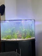 Aquarium, Enlèvement, Comme neuf, Aquarium vide