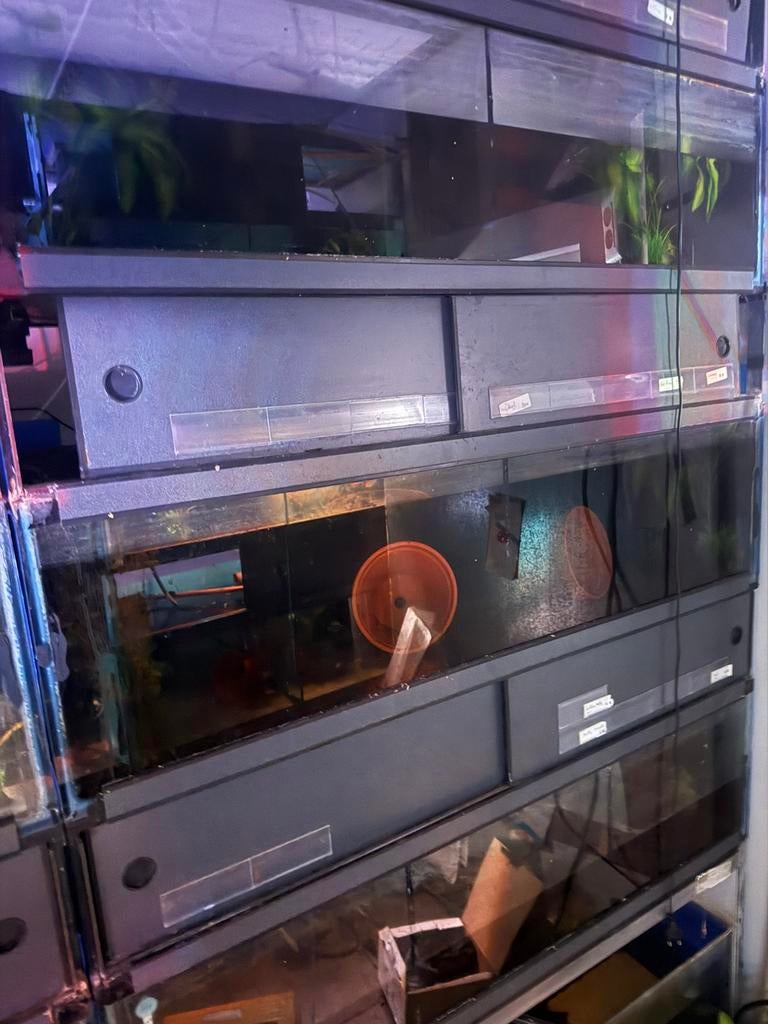 Stelling aquarium 125 cm x 45 cm, Dieren en Toebehoren, Vissen | Aquaria en Toebehoren, Zo goed als nieuw, Ophalen