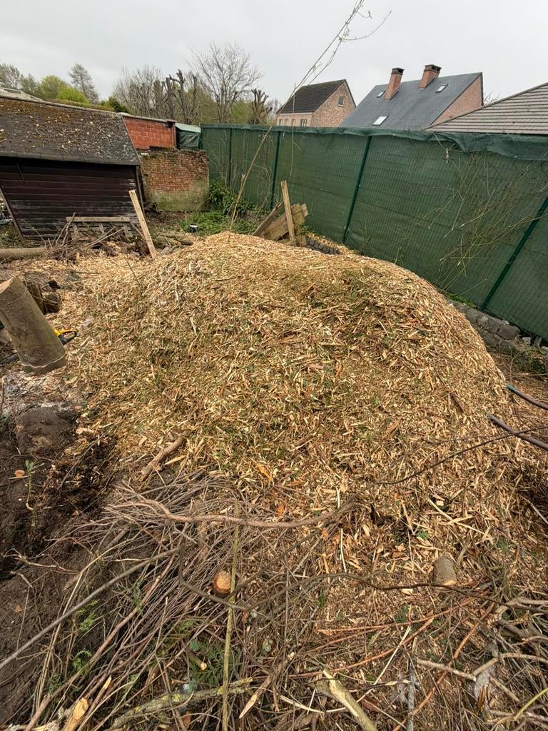 Gratis brandhout en hout schilfers, Enlèvement ou Envoi, Troncs d'arbres