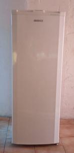 Congélateur armoire Beko FNE19400 année 2009, Electroménager, Moins de 60 cm, Congélateur, 160 cm ou plus, Enlèvement